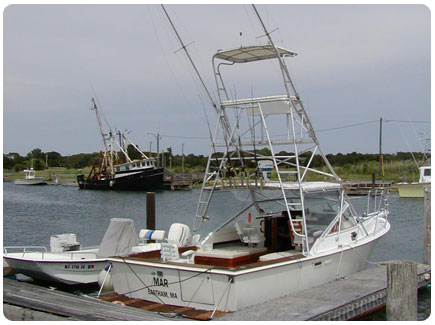 harbor